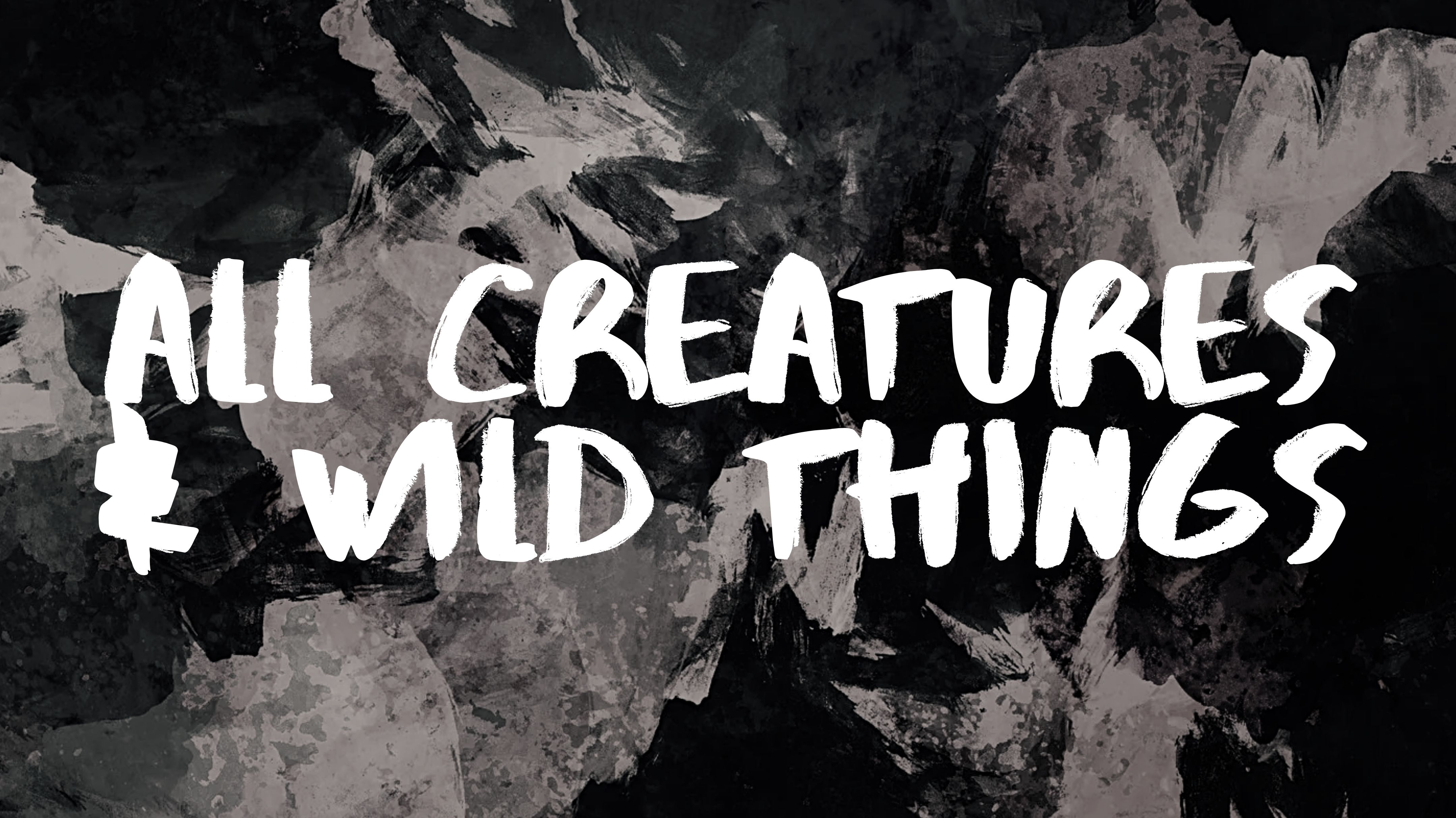 All Creatures & Wild Things